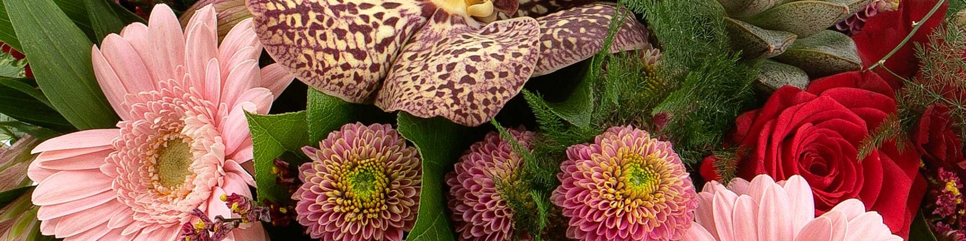 Buket med farverige blomster, herunder lyserøde gerberaer, røde roser, og lilla krysantemum. En orkidé med mønstre pryder også arrangementet. Blomsterne er elegant arrangeret med grønt som baggrund.